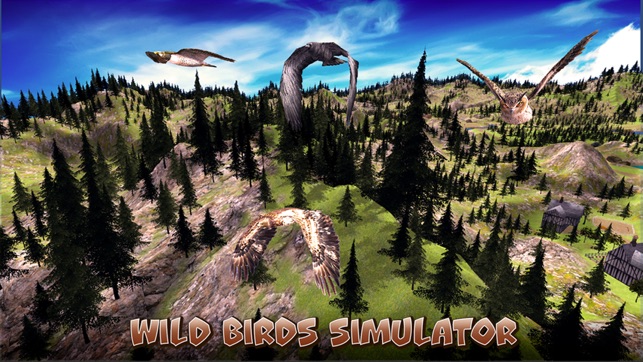 Wild Bird Survival Simulator(圖1)-速報App