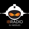 DJ Needles