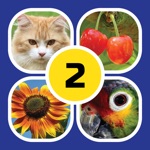 4 Pics Mystery Evolution