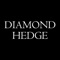 Diamond Hedge is a diamond price comparison site that has an augmented reality feature which allows people try on different diamond rings on their actual hands