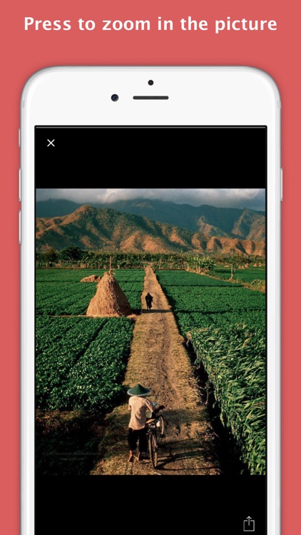 InsPad - Instagram for iPad