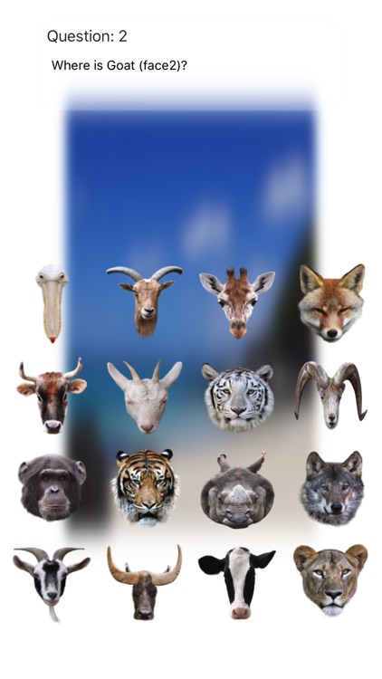 Animal Faces Touch Quiz :: Hit a face of an animal