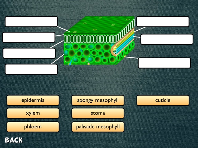 Science Diagrams(圖4)-速報App