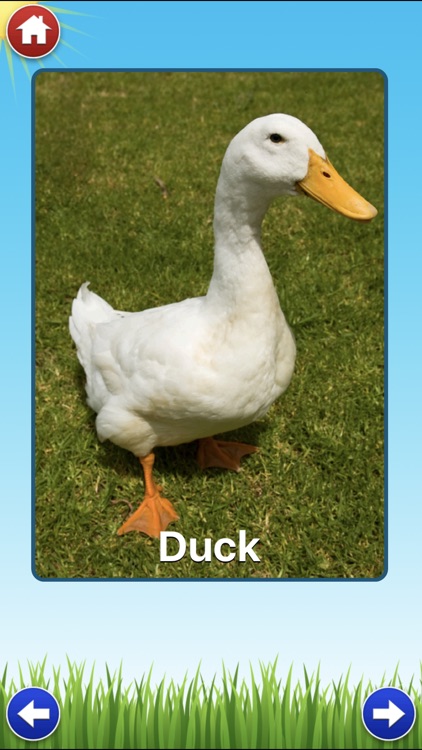 Farm Sounds Lite - Fun Animal Noises for Kids