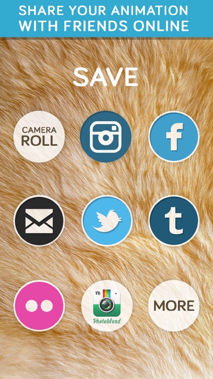 Insta Animal: Picture Editor, effects & fun faces