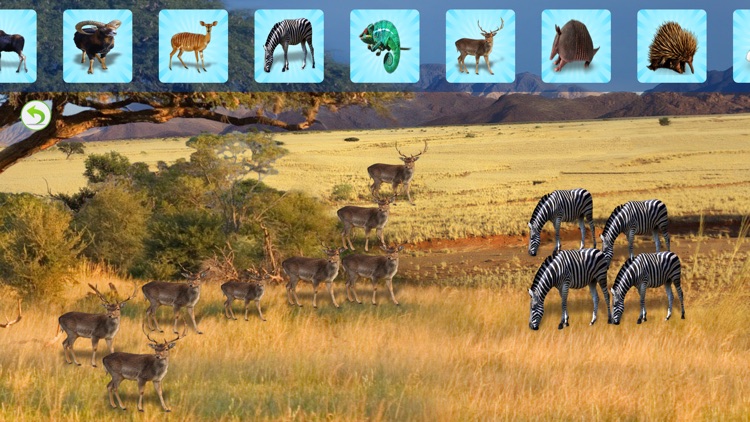 Animals Planet screenshot-3