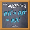 Algebra Introduction (Year 8 Mathematics)