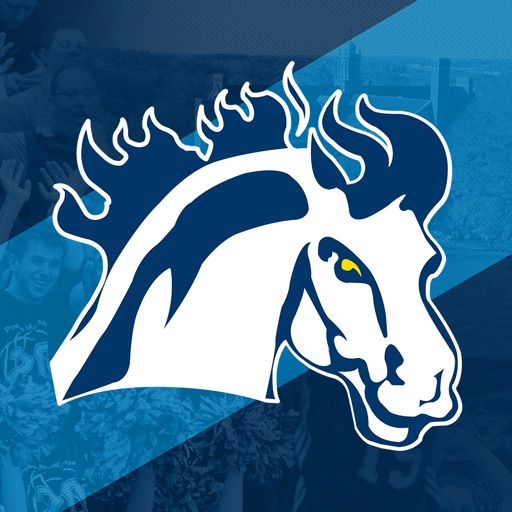 Mount Mercy Mustangs Icon