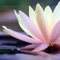 Experience profound levels of meditation that typically take years of practice to attain