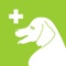 Dogs are our best friends, they bring so much fun, happiness and even moving stories to us in our daily life