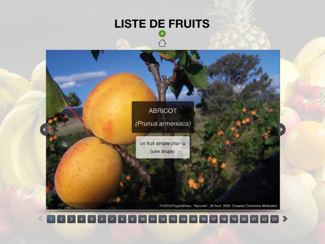 Les types de fruits(圖4)-速報App