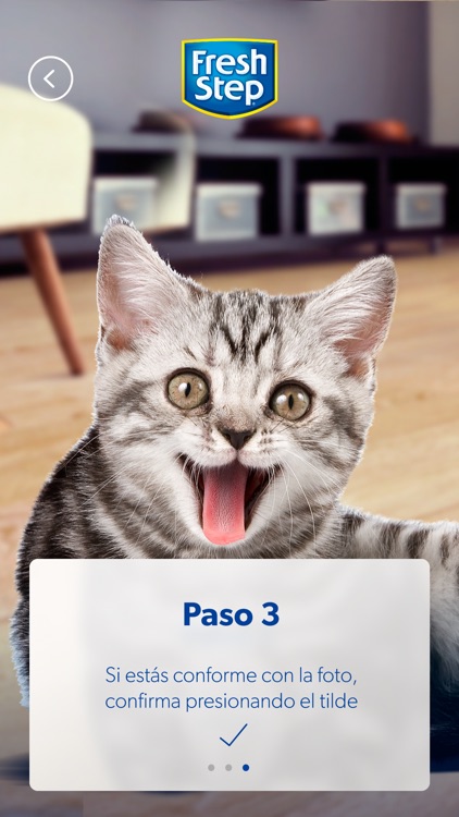 Catslator by Fresh Step screenshot-3