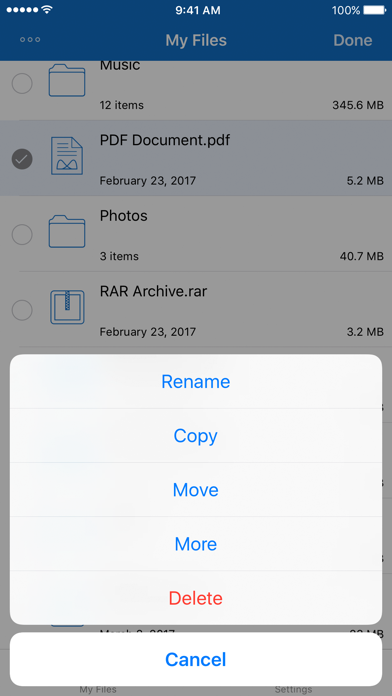 File Manager for iPhone screenshot1