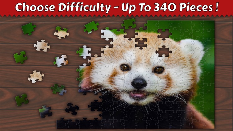 Jigsaw Puzzle Collection - Amazing Jigsaw Puzzles screenshot-0