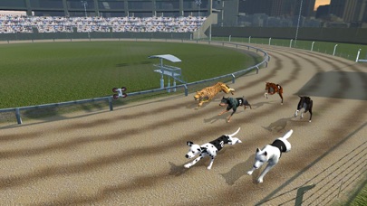 CRAZY DOG RACING : CHASE RACING BUNNY WITH PET DOG 1.5.7 IOS ĐUA XE CRAZY DOG RACING : CHASE RACING BUNNY WITH PET DOG 1.5.7 IOS