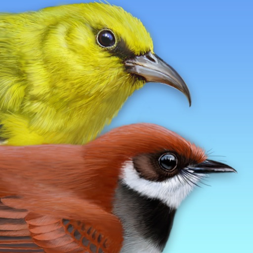 iBird Hawaii & Palau Guide to Birds
