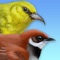 Ready for exotic birds