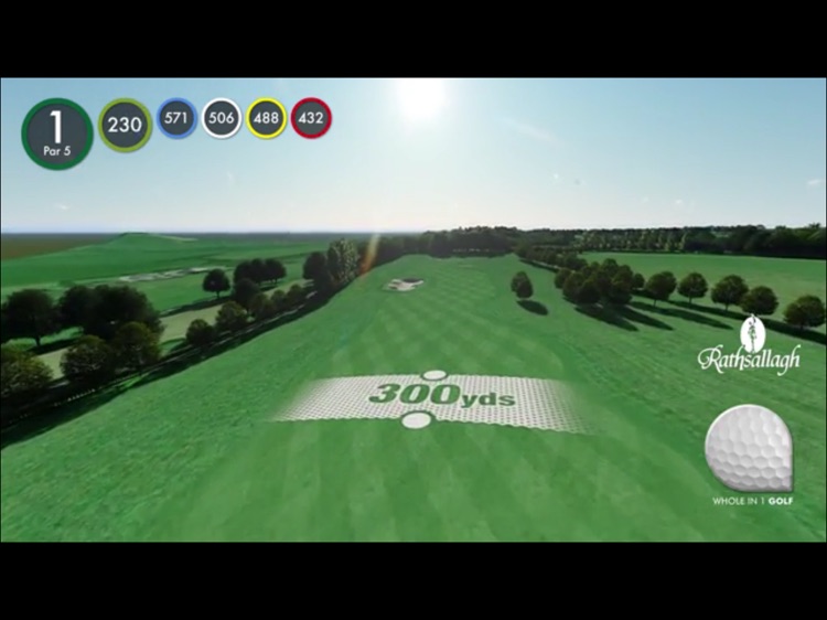 Rathsallagh House Hotel & Golf Club - Buggy screenshot-4