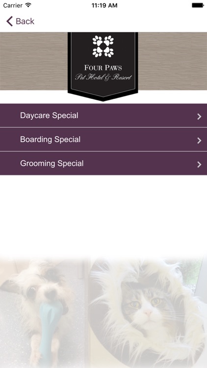 Four Paws Pet Hotel & Resort screenshot-3