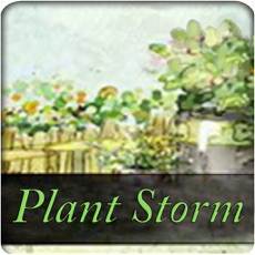Activities of Plant Storm