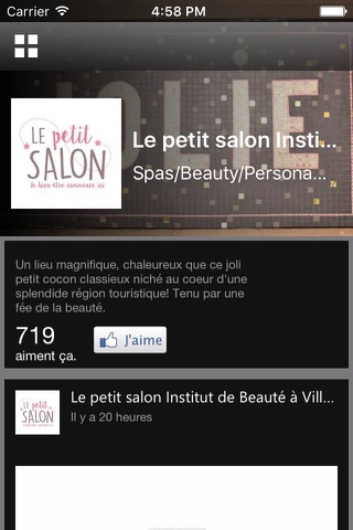 Le petit salon screenshot 2