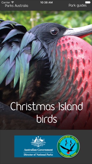 Christmas Island Birds