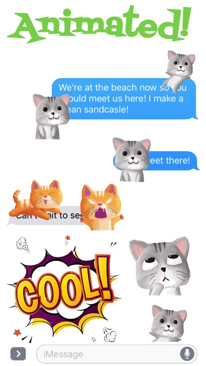 Cute Baby Cat Animated