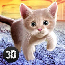 Activities of House Cat Life Simulator 3D