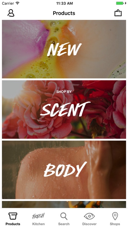 Lush Fresh Handmade Cosmetics