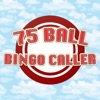 75 Ball Bingo Caller
