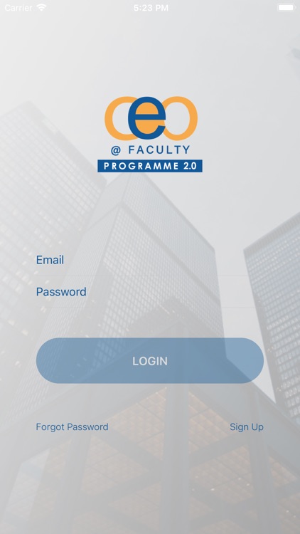 CEO @ Faculty Programme 2.0