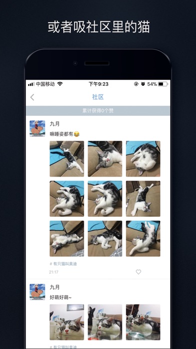 吸猫 - 你的猫就是我的猫 screenshot 4