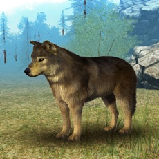 Activities of Wild Wolf Simulator 3D Runner