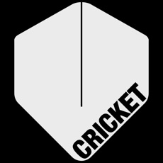 Activities of Cricket Darts Scoreboard