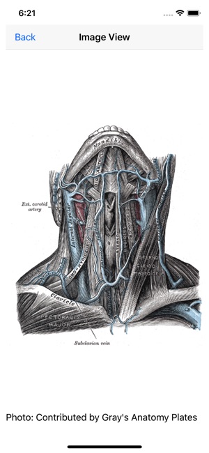 Vascular Board Review(圖6)-速報App