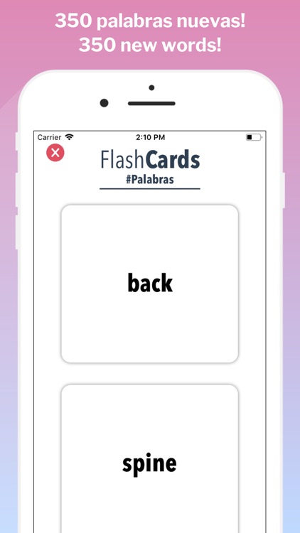 FlashCard - Learn English screenshot-4