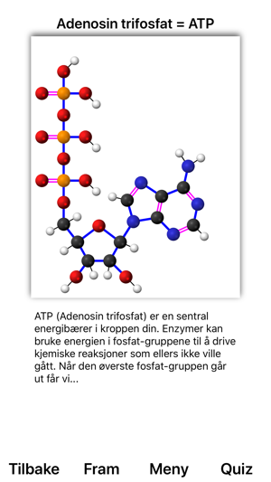 Glykolyse(圖3)-速報App