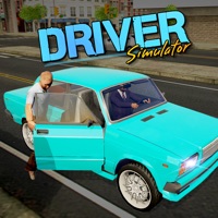 Driver Simulator Reviews