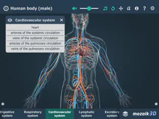 Screenshot 4 Human body (male) 3D iphone