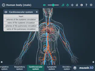 Captura de Pantalla 4 Human body (male) 3D iphone