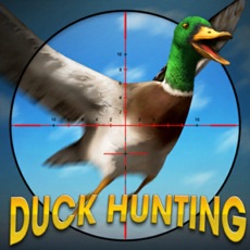 Activities of Duck Hunting Animal Shooting