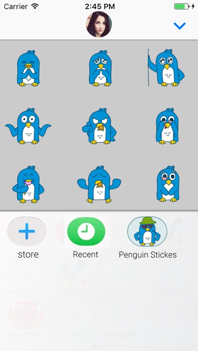 Penguin : Cute Stickers screenshot 4