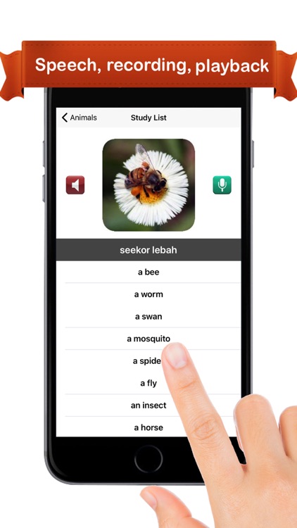 Learn Indonesian - iLang