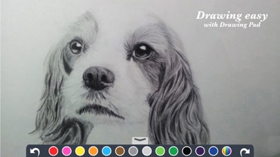 ART: Pencil Drawing Sketches screenshot 2
