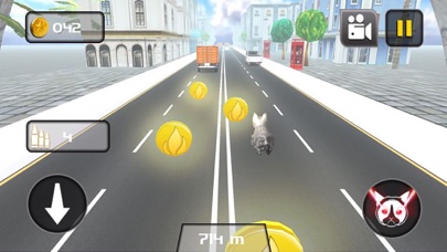 KITTY CAT RUSH 3D GAME 1.1 IOS