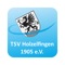 Der TSV Holzelfingen 1905 e