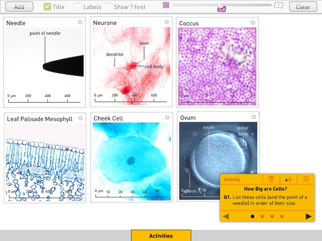 Cells from Sunflower Learning(圖4)-速報App