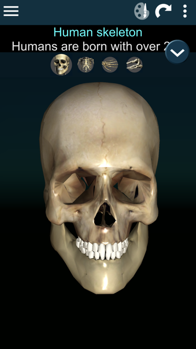 How to cancel & delete Bones 3D (Anatomy) from iphone & ipad 1