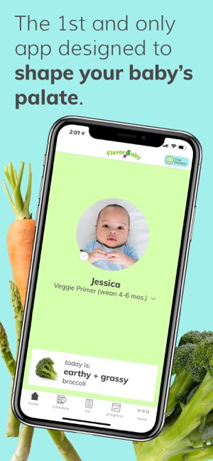 FlavorBaby – Veggies First(圖1)-速報App