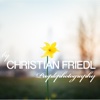 Christian Friedl